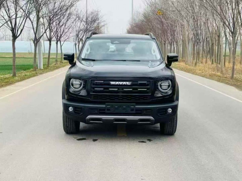 南通25年哈弗大狗1