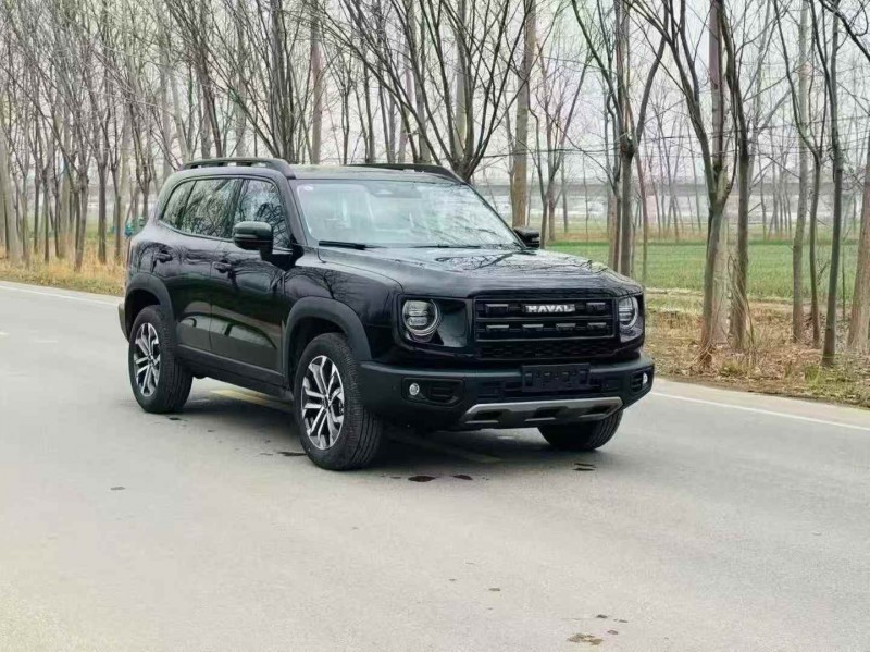 南通25年哈弗大狗2