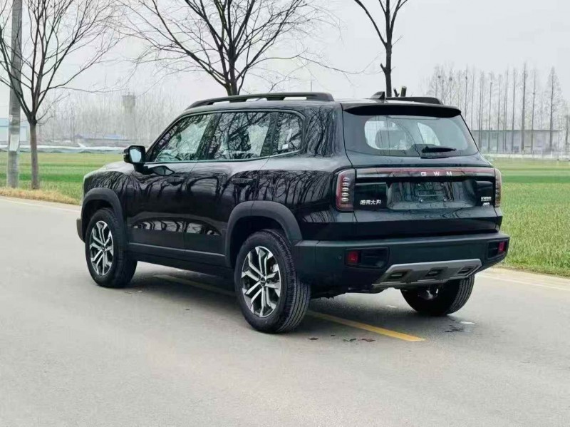 南通25年哈弗大狗8