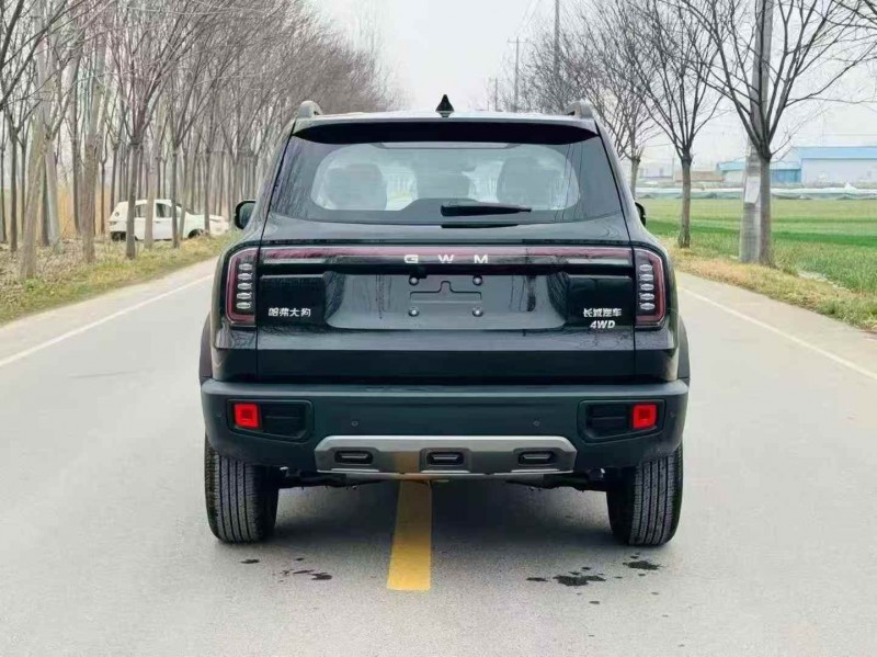 南通25年哈弗大狗9