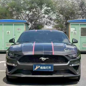 东莞19年福特野马