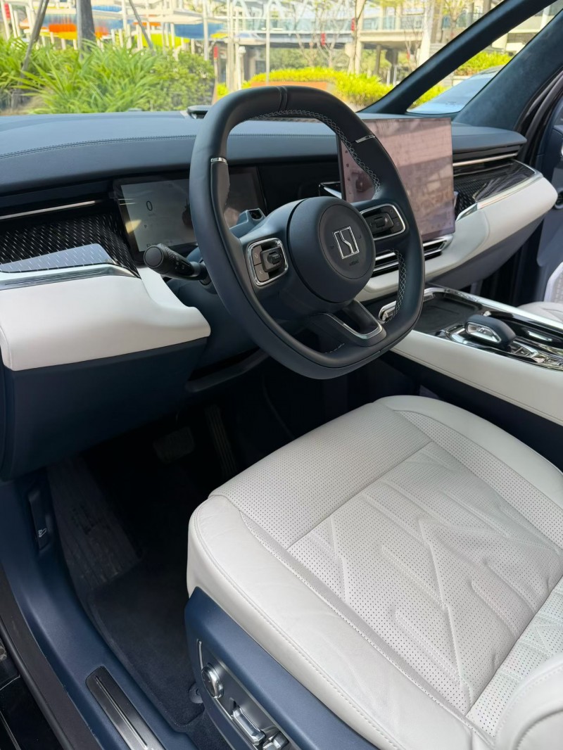 佛山25年极氪汽车0094