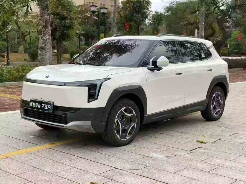 江门25年东风纳米2