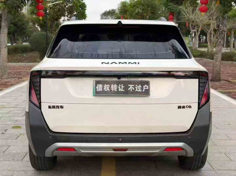 江门25年东风纳米9