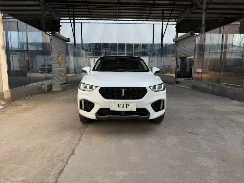 徐州17年长城汽车魏牌1