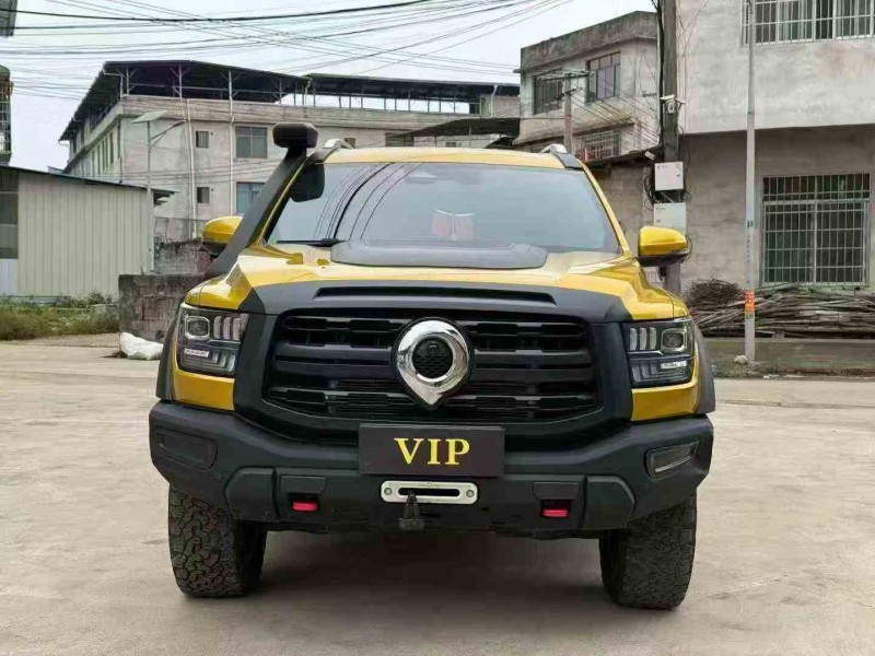 衢州24年长城汽车炮 皮卡1