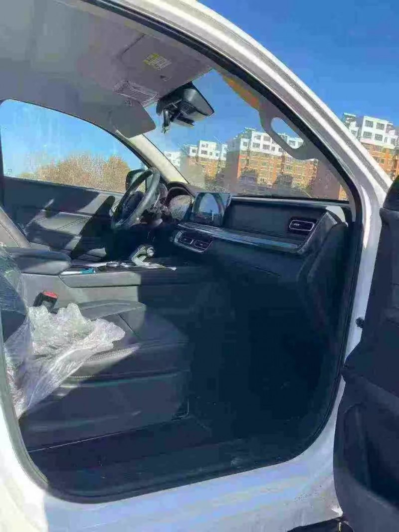 石家庄25年长城汽车炮 皮卡3