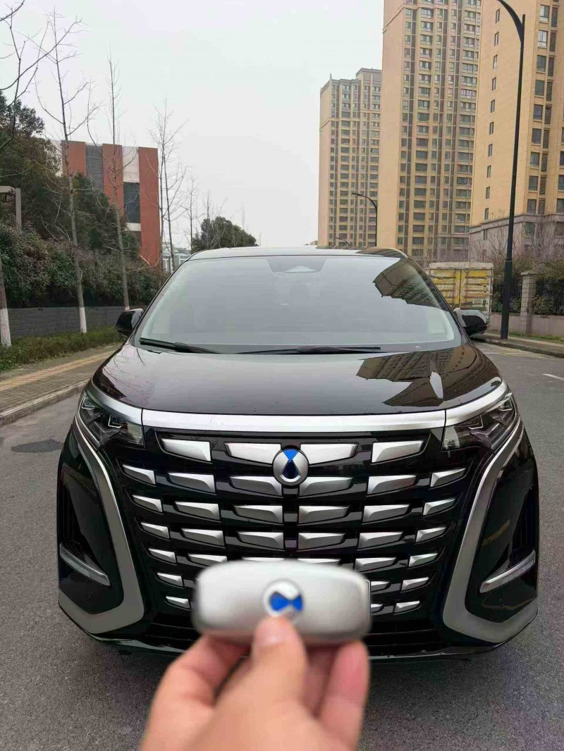 蚌埠25年腾势D91