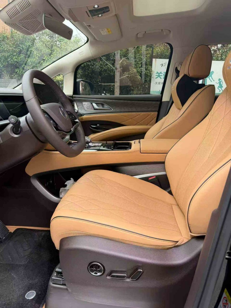 蚌埠25年腾势D95