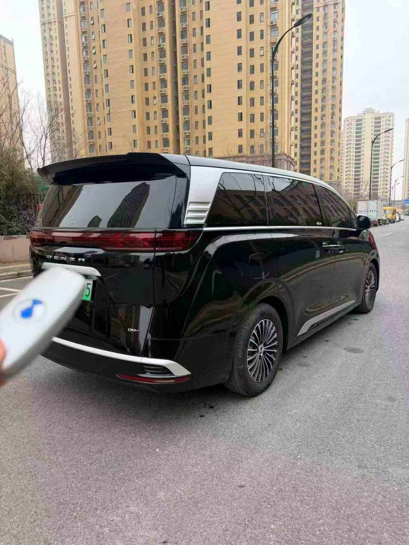 蚌埠25年腾势D98