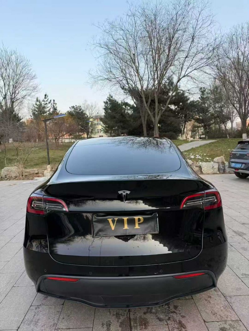 邢台21年特斯拉MODEL Y6
