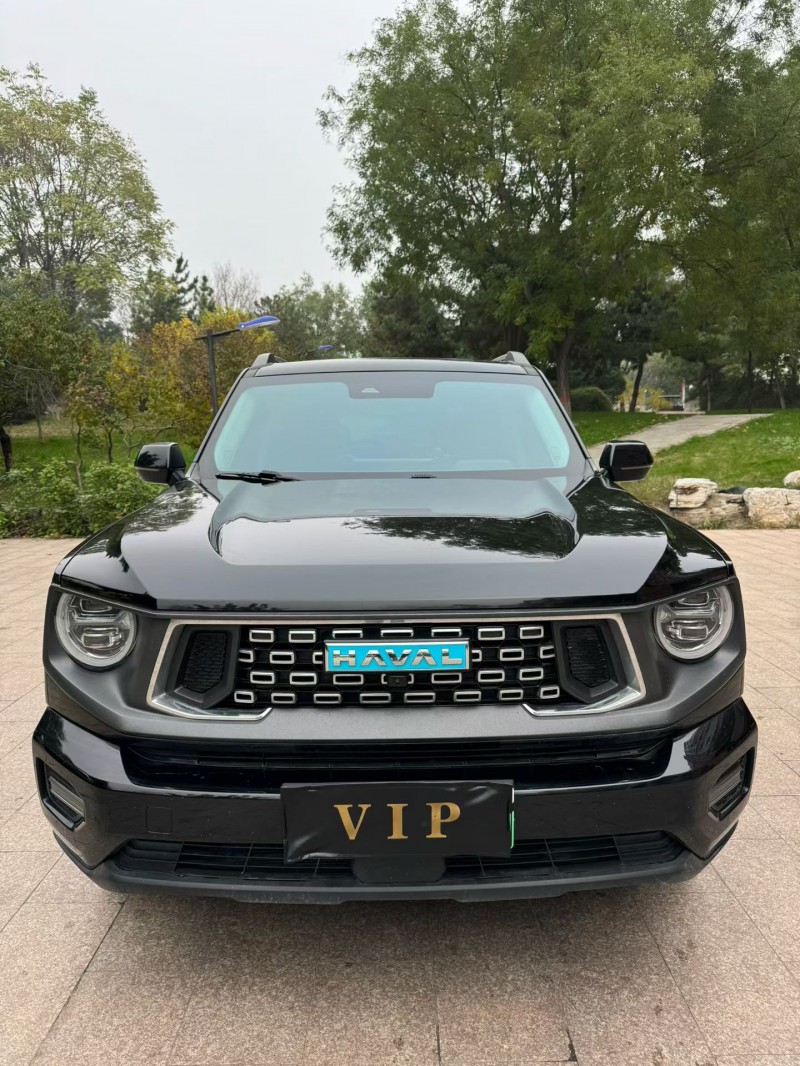 邢台24年哈弗大狗1