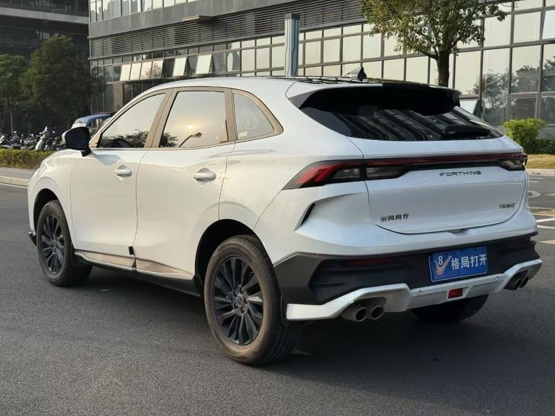 东莞25年东风风行8