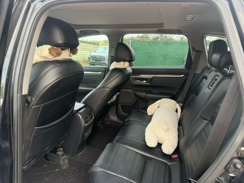 中山20年本田皓影8