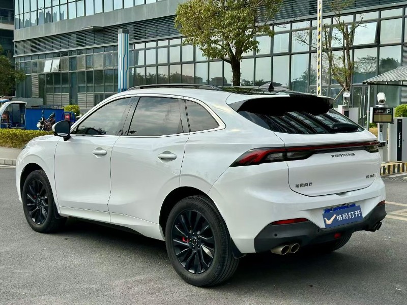 东莞22年东风风行7