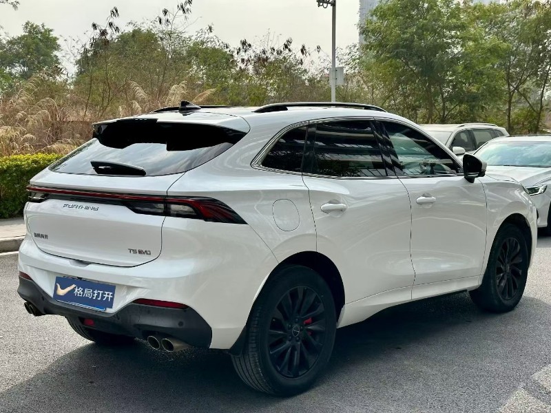 东莞22年东风风行8