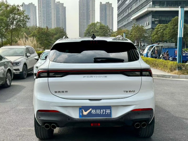 东莞22年东风风行9