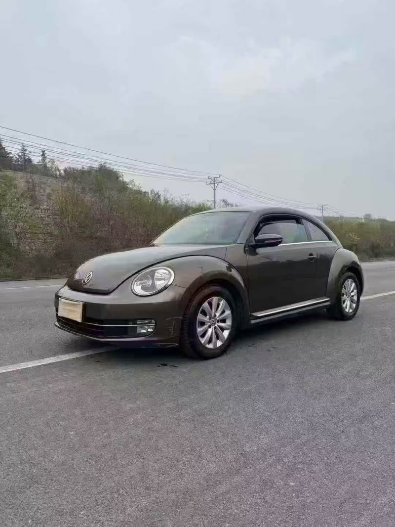 邯鄲15年大眾甲殼蟲2