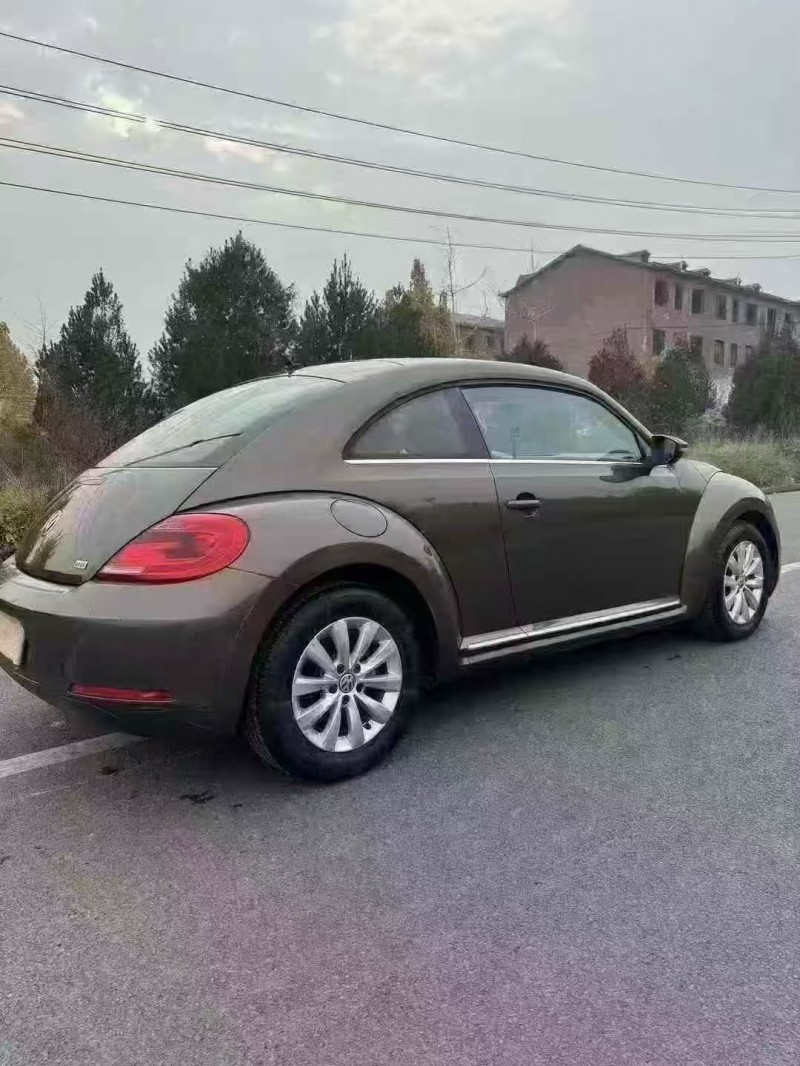 邯鄲15年大眾甲殼蟲5