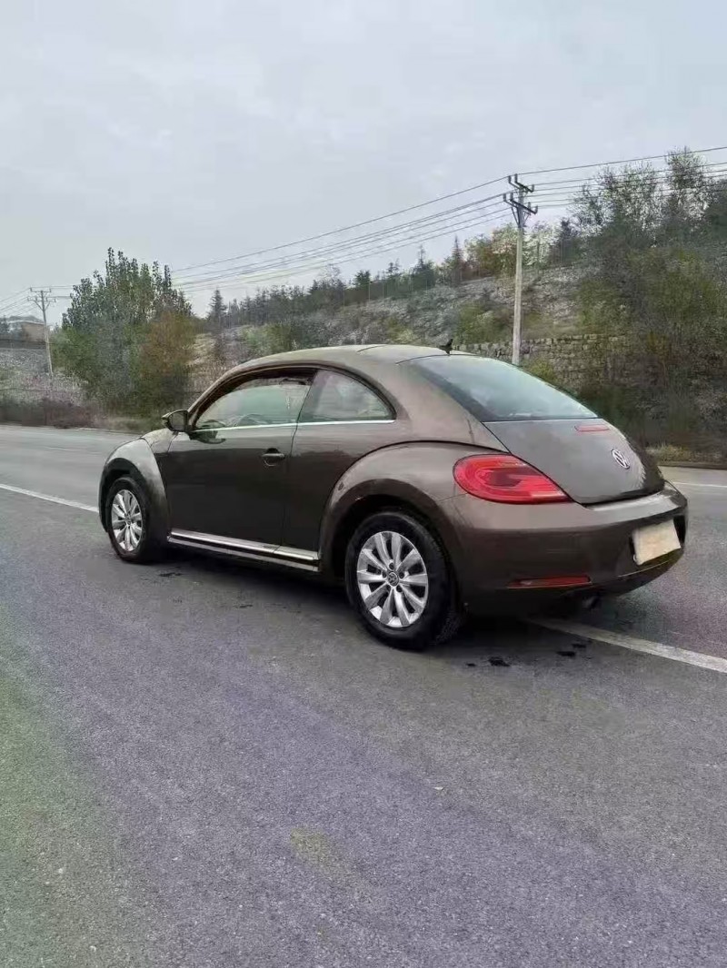 邯鄲15年大眾甲殼蟲7