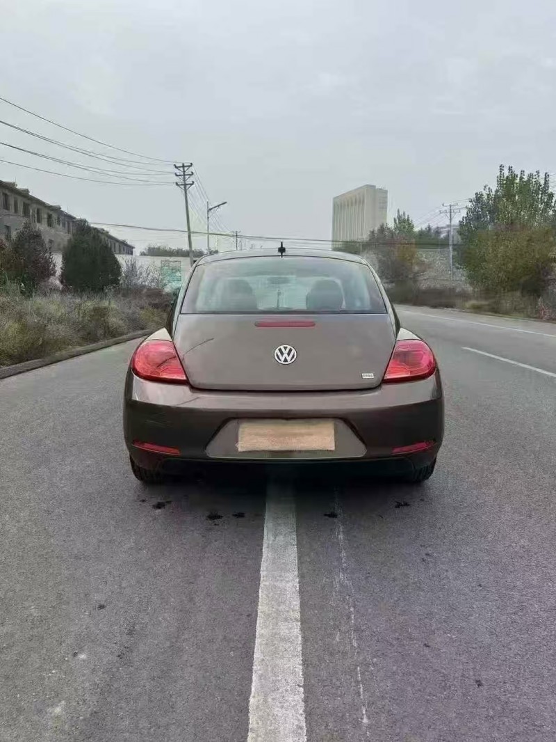 邯鄲15年大眾甲殼蟲8