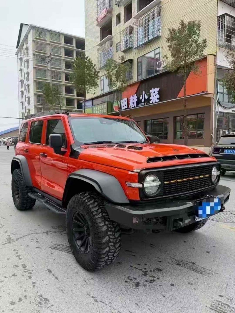 湘潭21年长城汽车坦克2