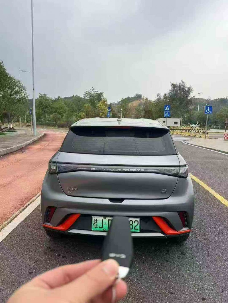 北海22年比亞迪海豚4