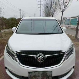 枣庄17年别克GL8