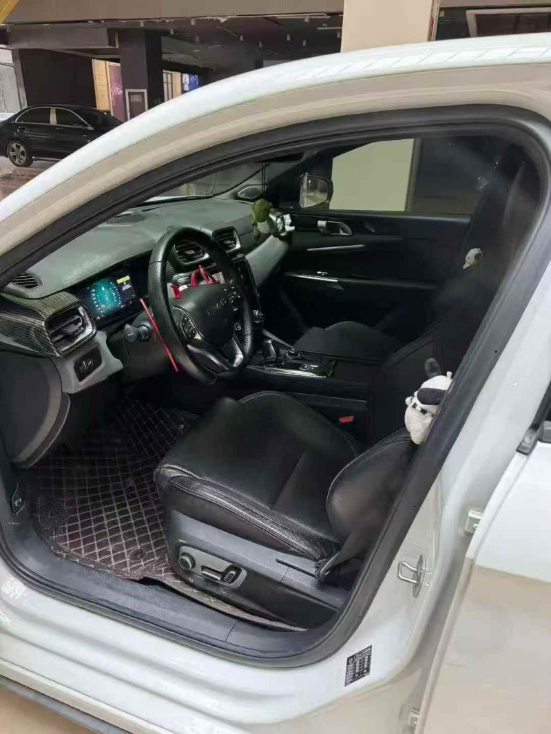 安庆18年领克034