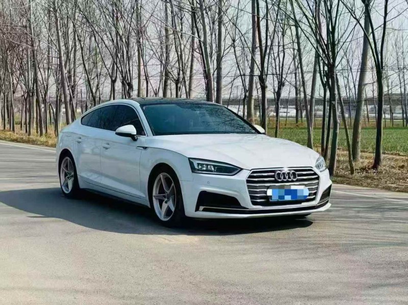 南通19年奧迪A52