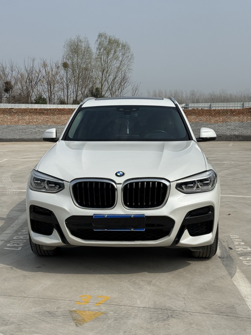 新鄉20年寶馬X31