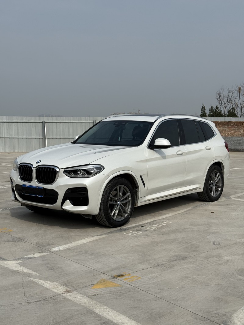 新鄉20年寶馬X33