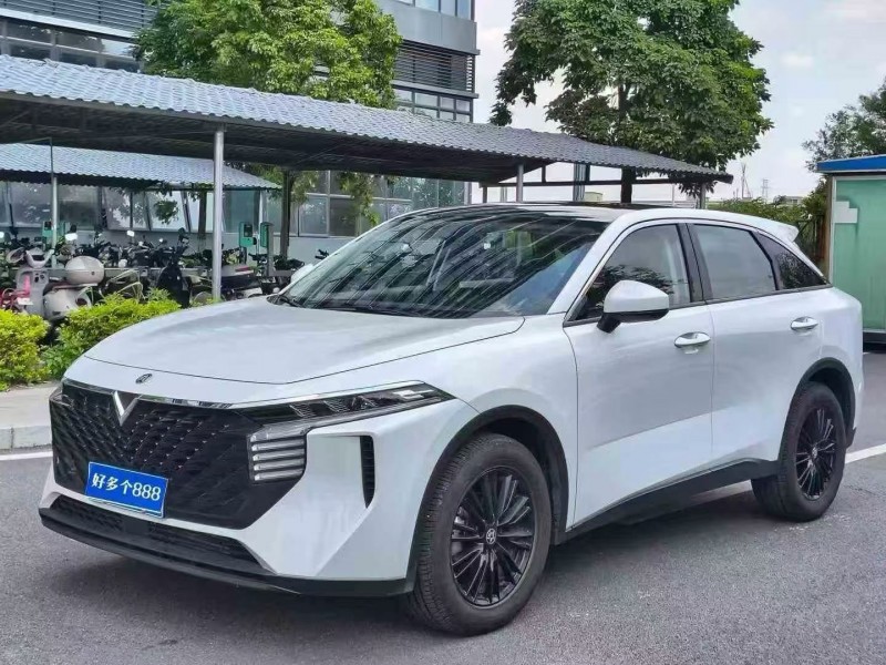 东莞25年启辰大V2