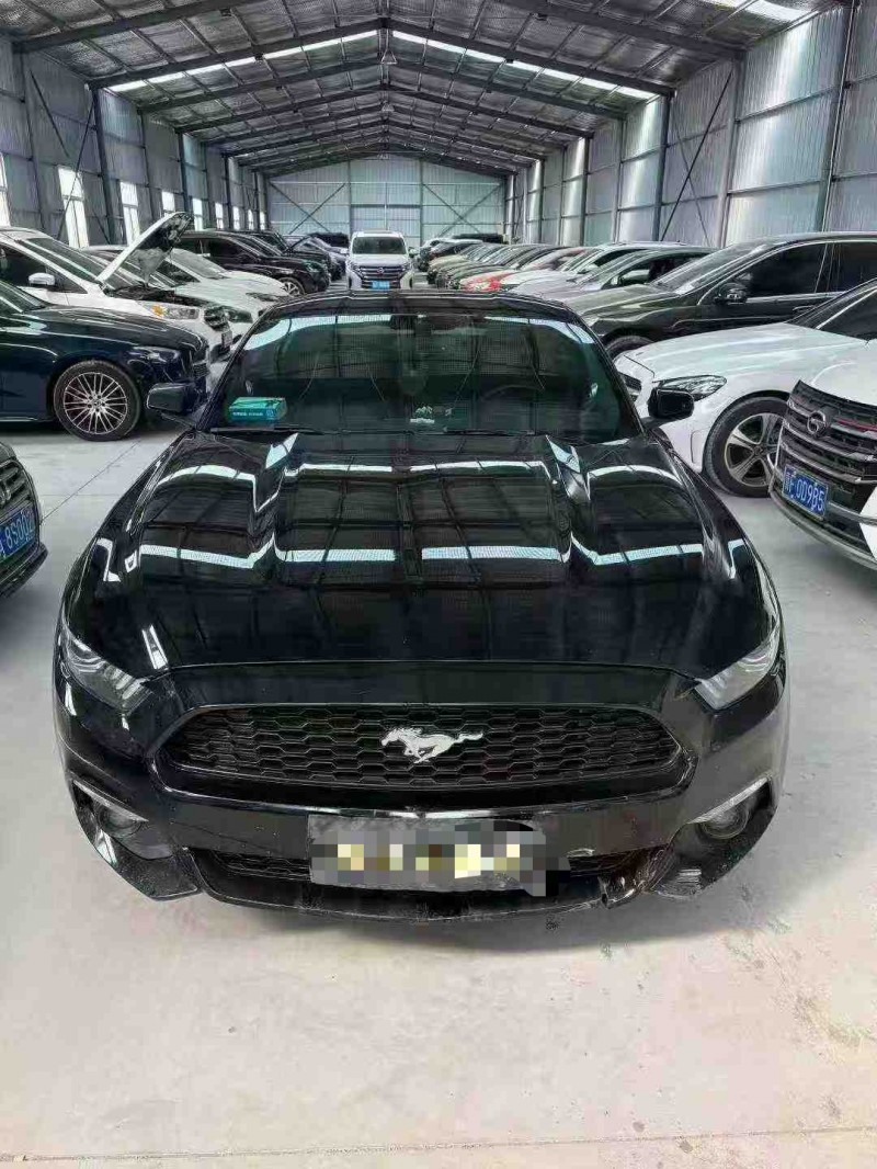 天津17年福特野马1