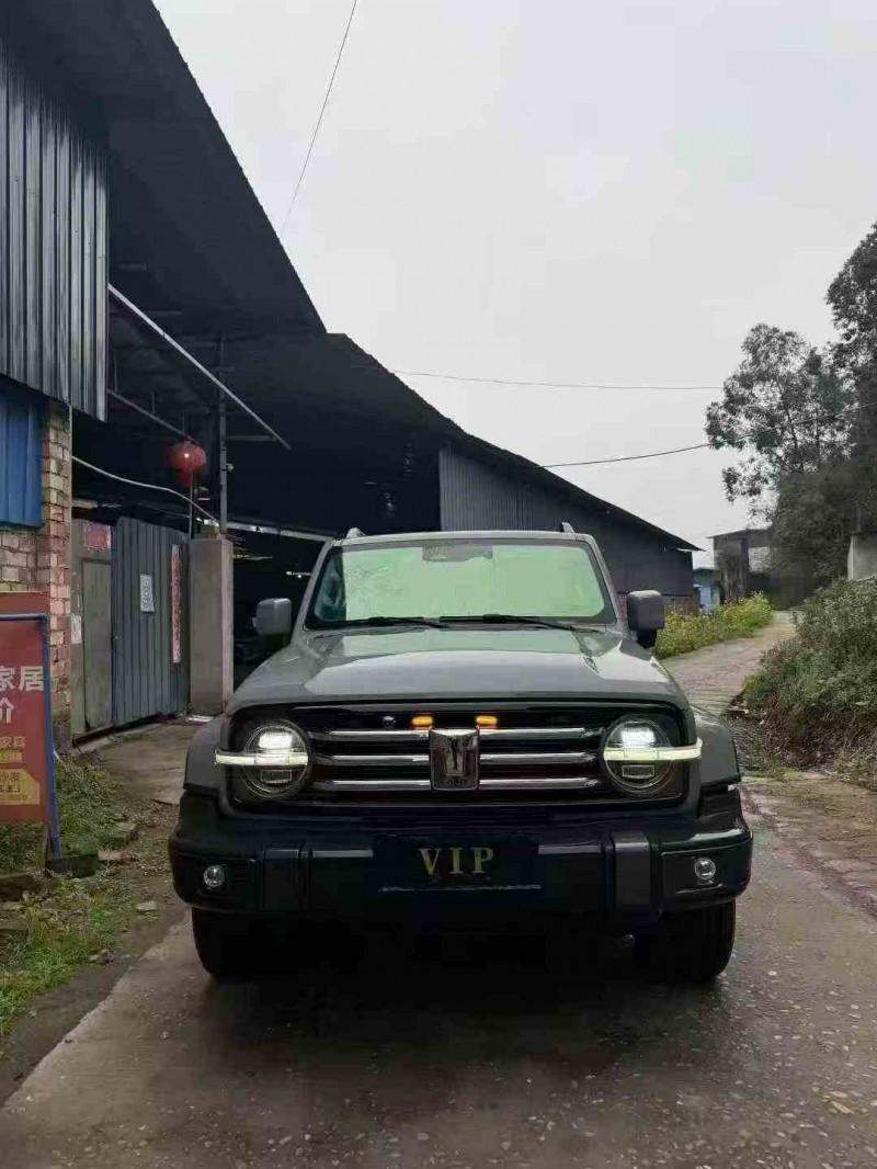 德阳22年长城汽车炮 皮卡1