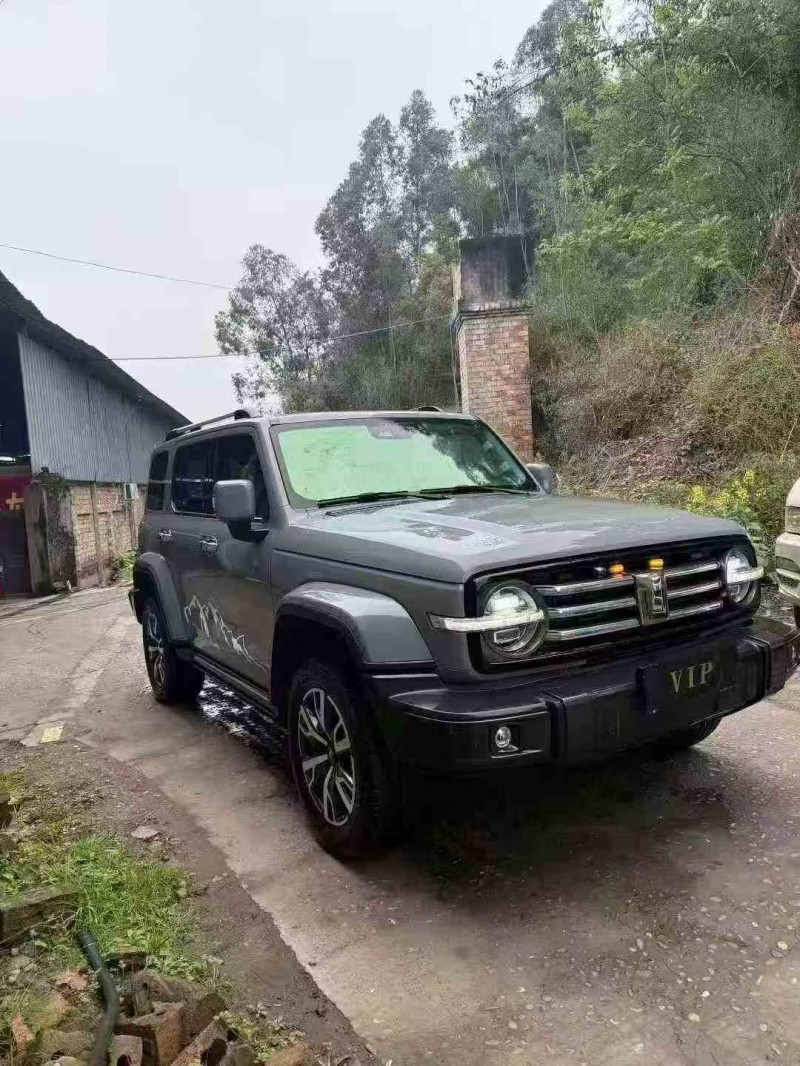 德阳22年长城汽车炮 皮卡2