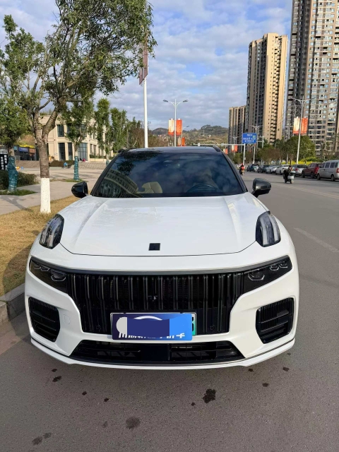 达州22年领克091