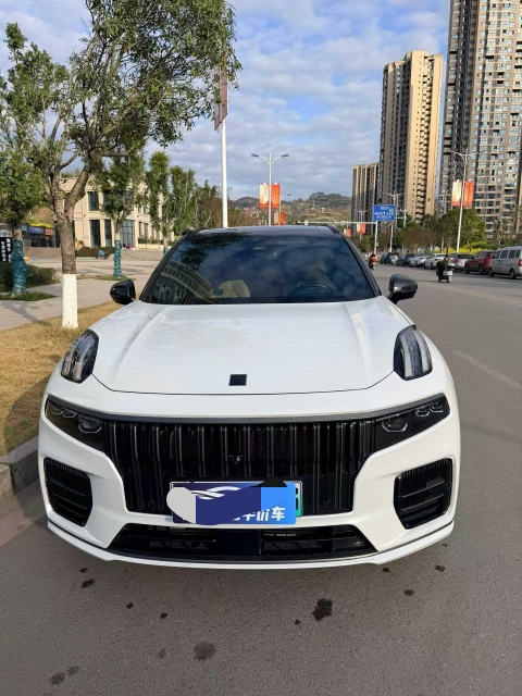 达州22年领克093