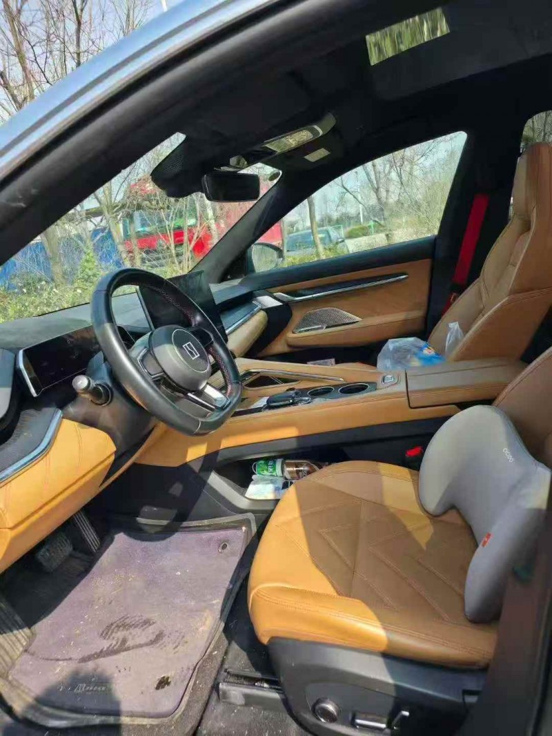 淄博22年极氪汽车0015