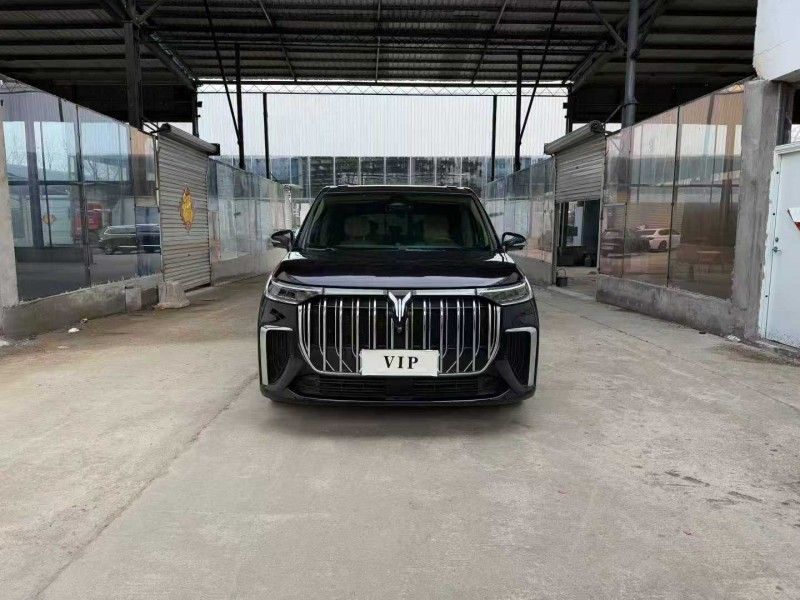 徐州23年岚图汽车梦想家1