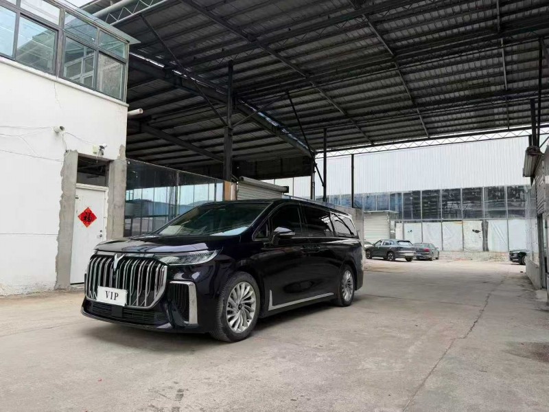 徐州23年岚图汽车梦想家2