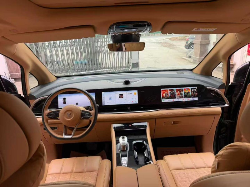 徐州23年岚图汽车梦想家5