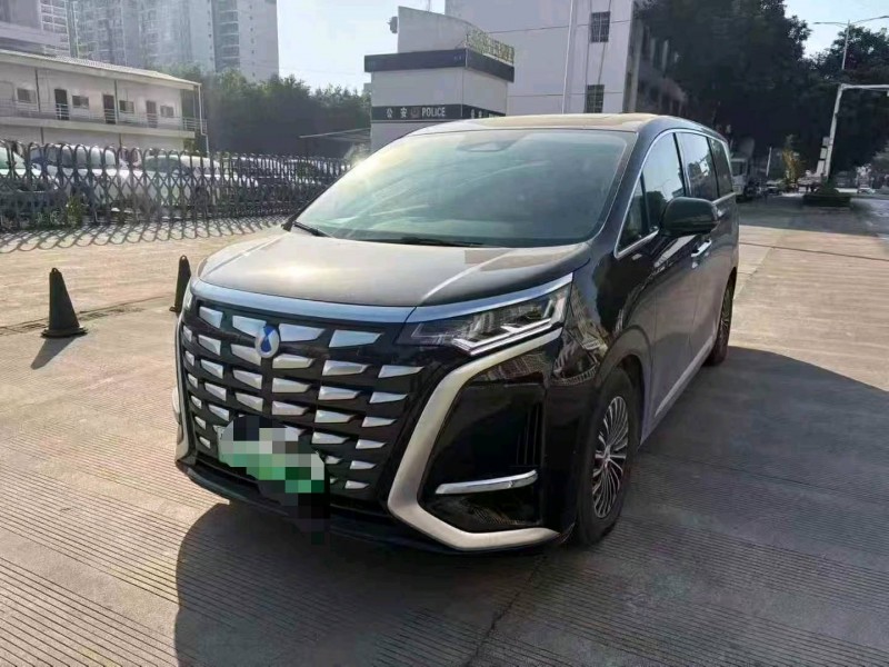 贺州24年腾势D91