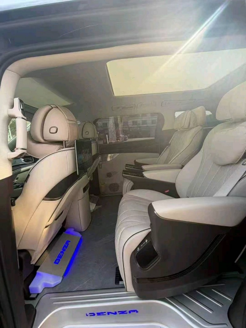 重庆24年腾势D95