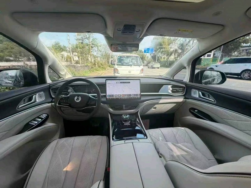 重庆24年腾势D96