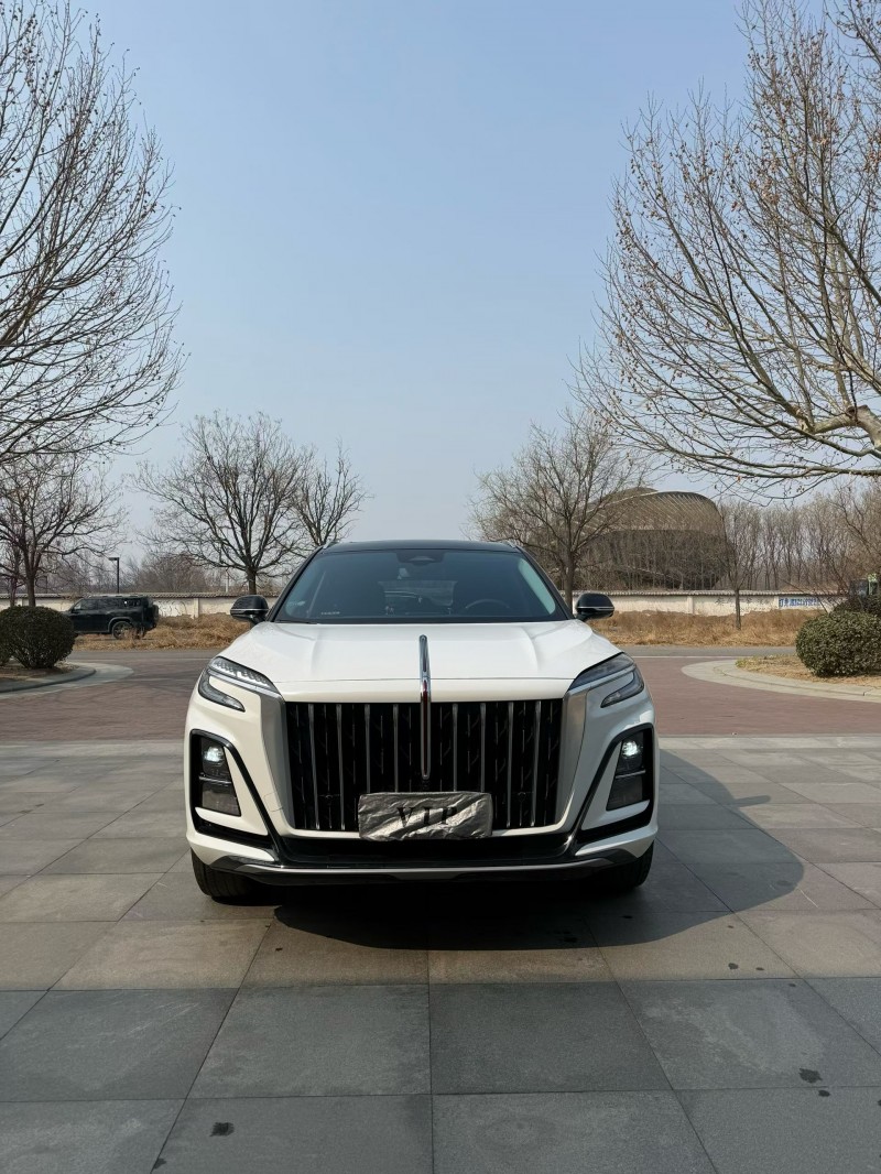 廊坊24年红旗HS31