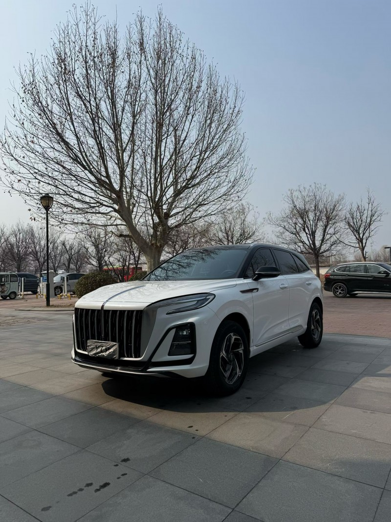 廊坊24年红旗HS32