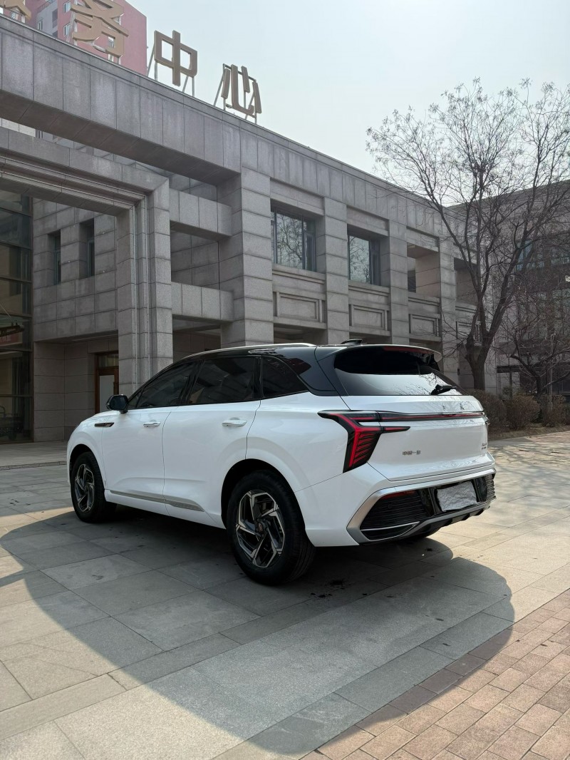 廊坊24年红旗HS33