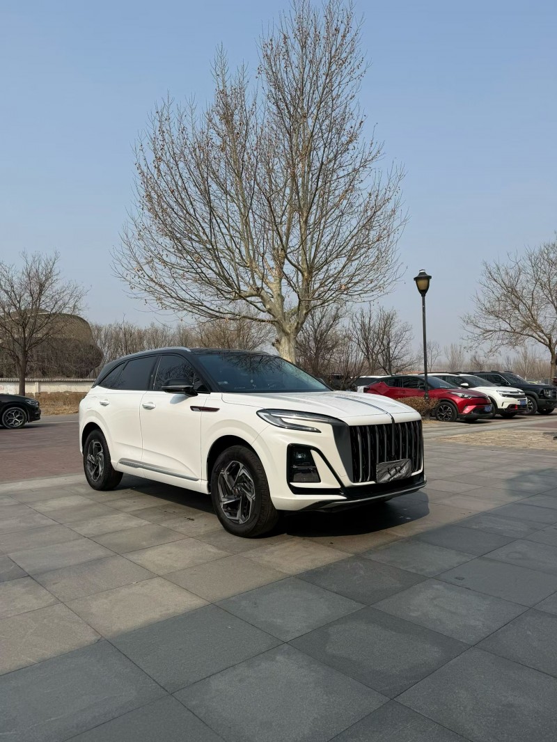 廊坊24年红旗HS34