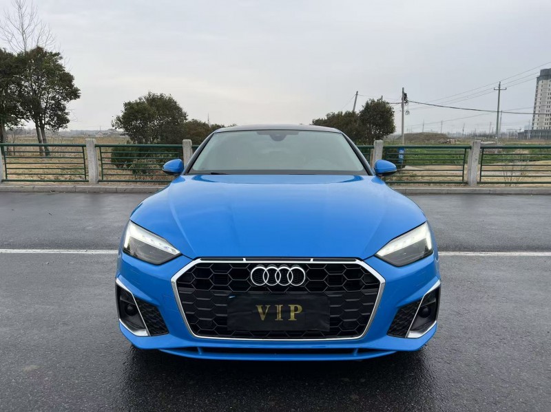 盐城22年奥迪A51